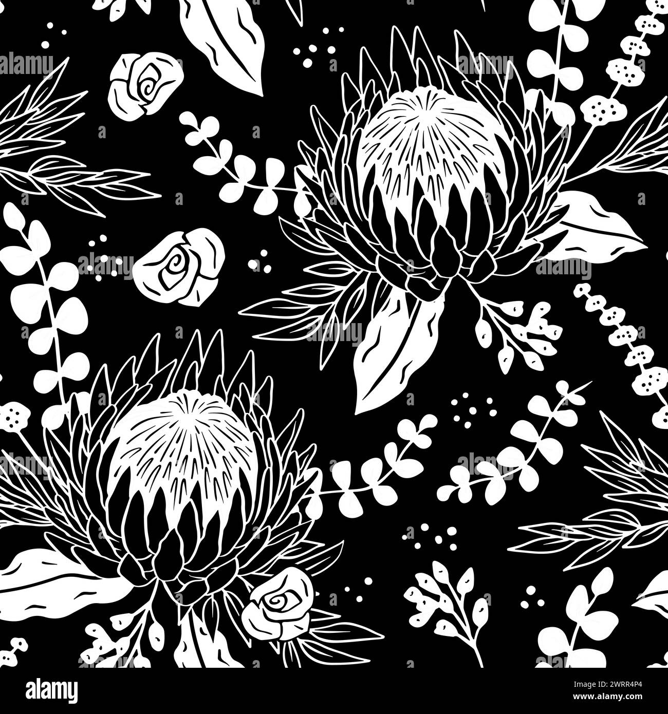 Black and white seamless pattern with line art protea flowers on black ...