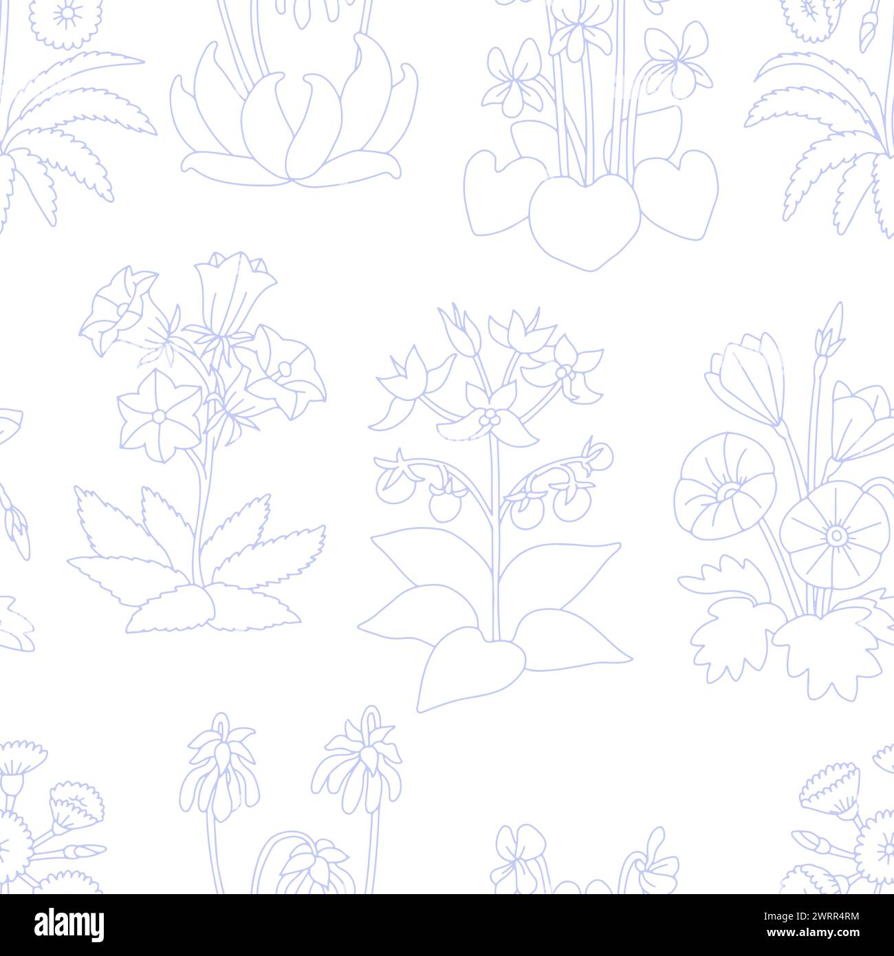 Flora of the canary islands Stock Vector Images - Alamy