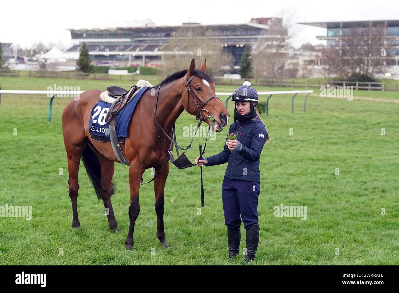 Blinkers and the Quest for Focus