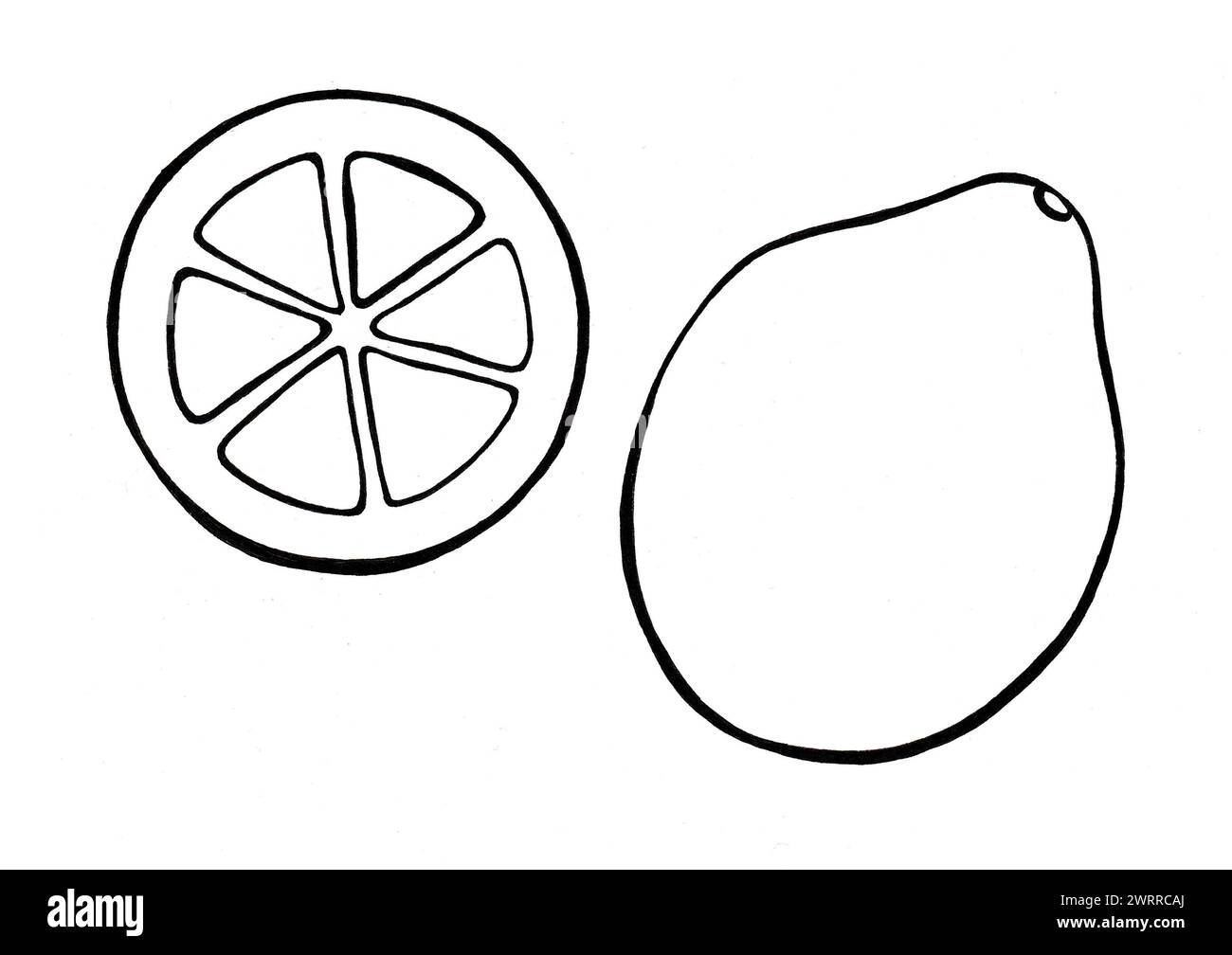 A set of two lemons. A whole lemon and a slice of a ring. Black outline drawing. Simplified illustration. Isolated on white background. Printmaking st Stock Photo