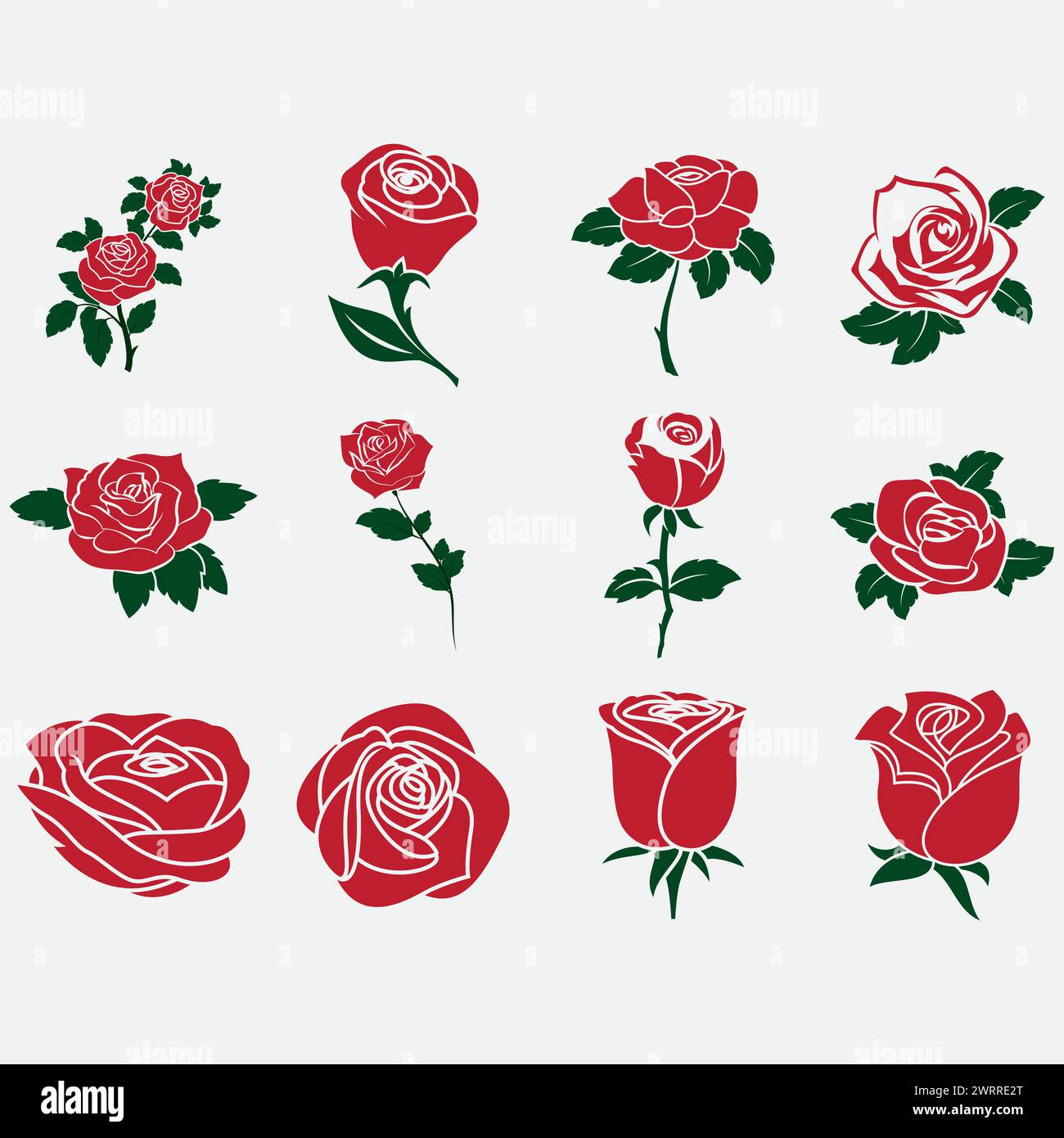 Vector collection of roses Stock Vector Image & Art - Alamy