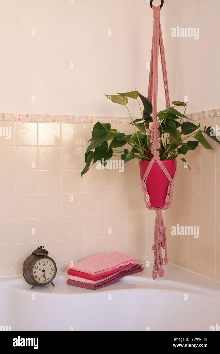 Corner plant hi-res stock photography and images - Alamy