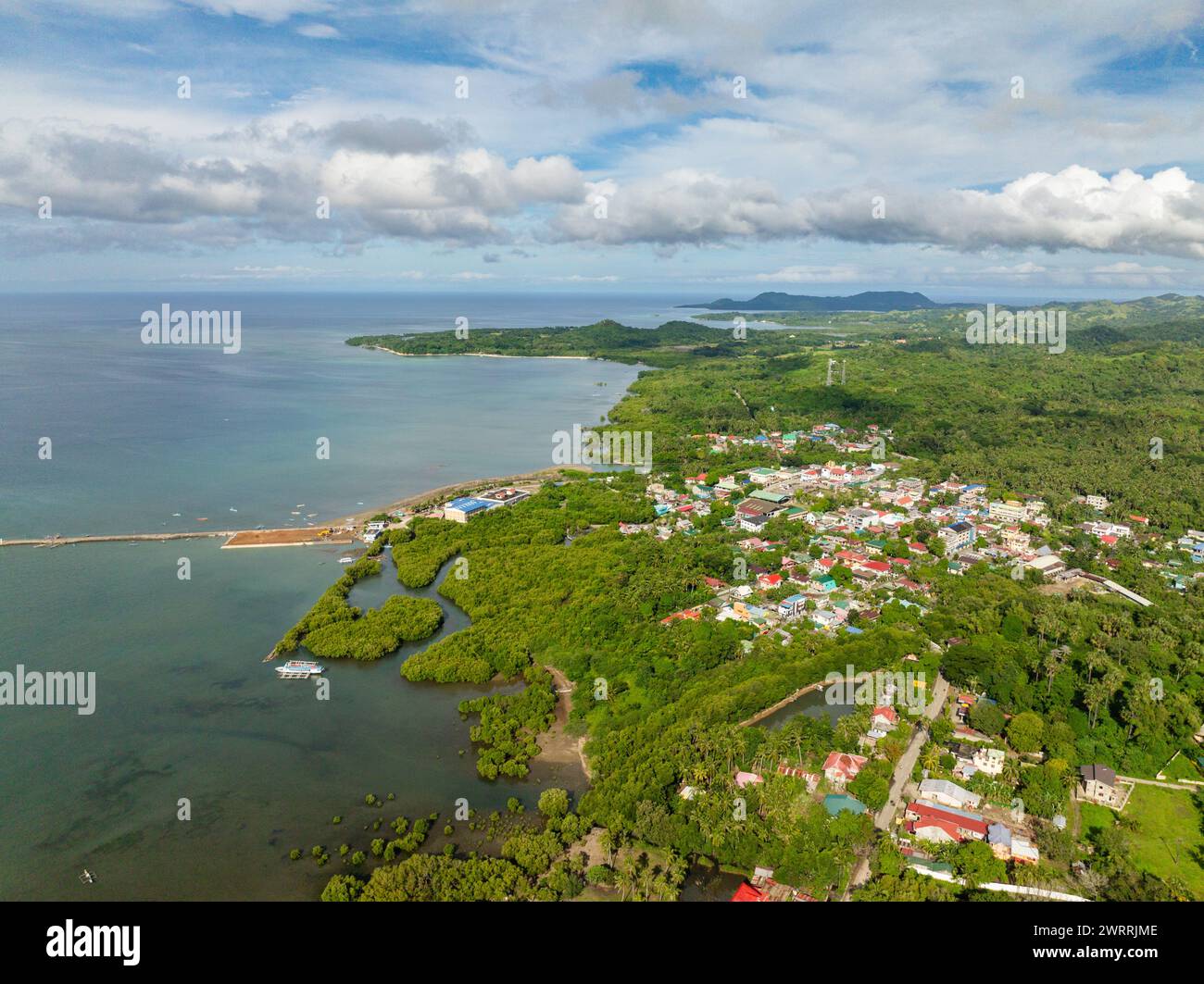Panorama view of Looc Poblacion with residential area and green forest