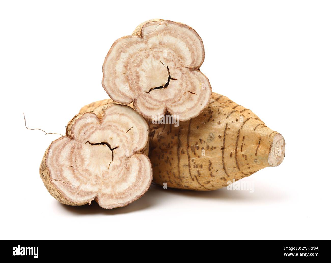 Root of kudzu vine,puerarin Isolated on a white background Stock Photo