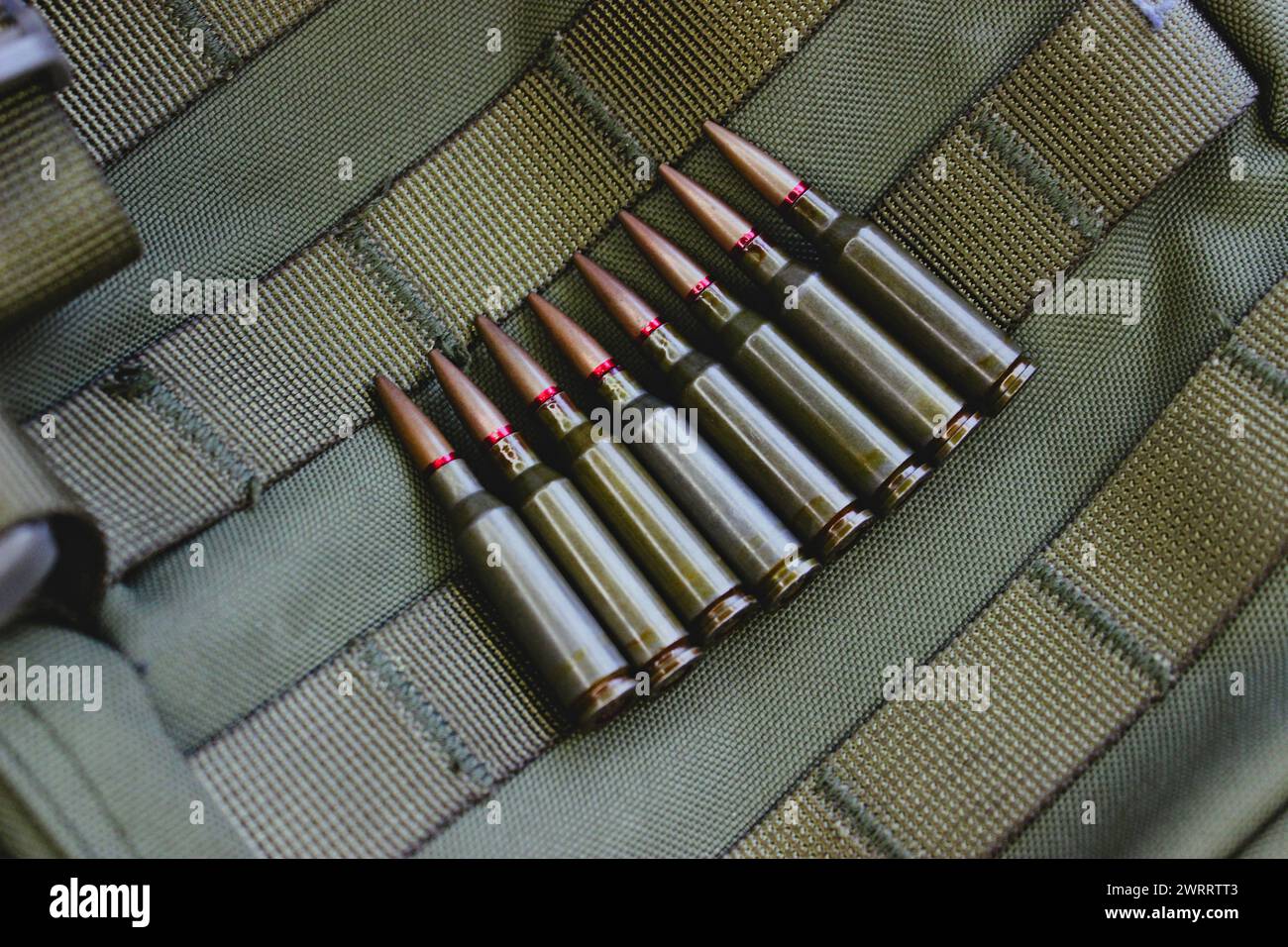 Row Of Bullets In Pouch Stock Photo For Military Backgrounds Stock Photo