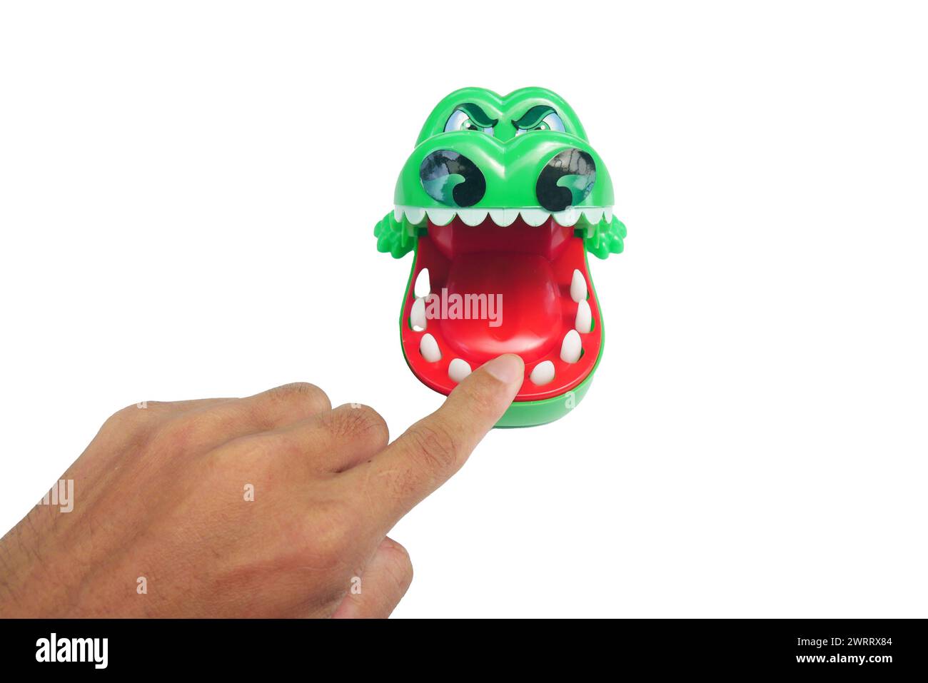 Crocodile bites plastic toy isolated Stock Photo