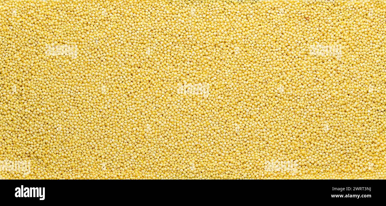 Millets seeds background. Dry millet pattern. Hulled millet, grain Stock Photo Alamy