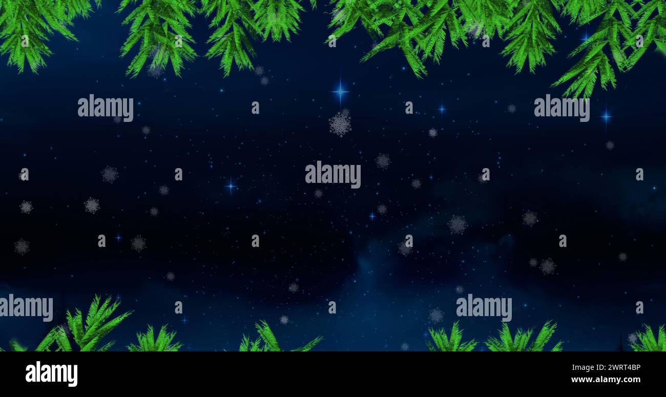 Green tree branches and snow falling against blue shining stars in night sky Stock Photo