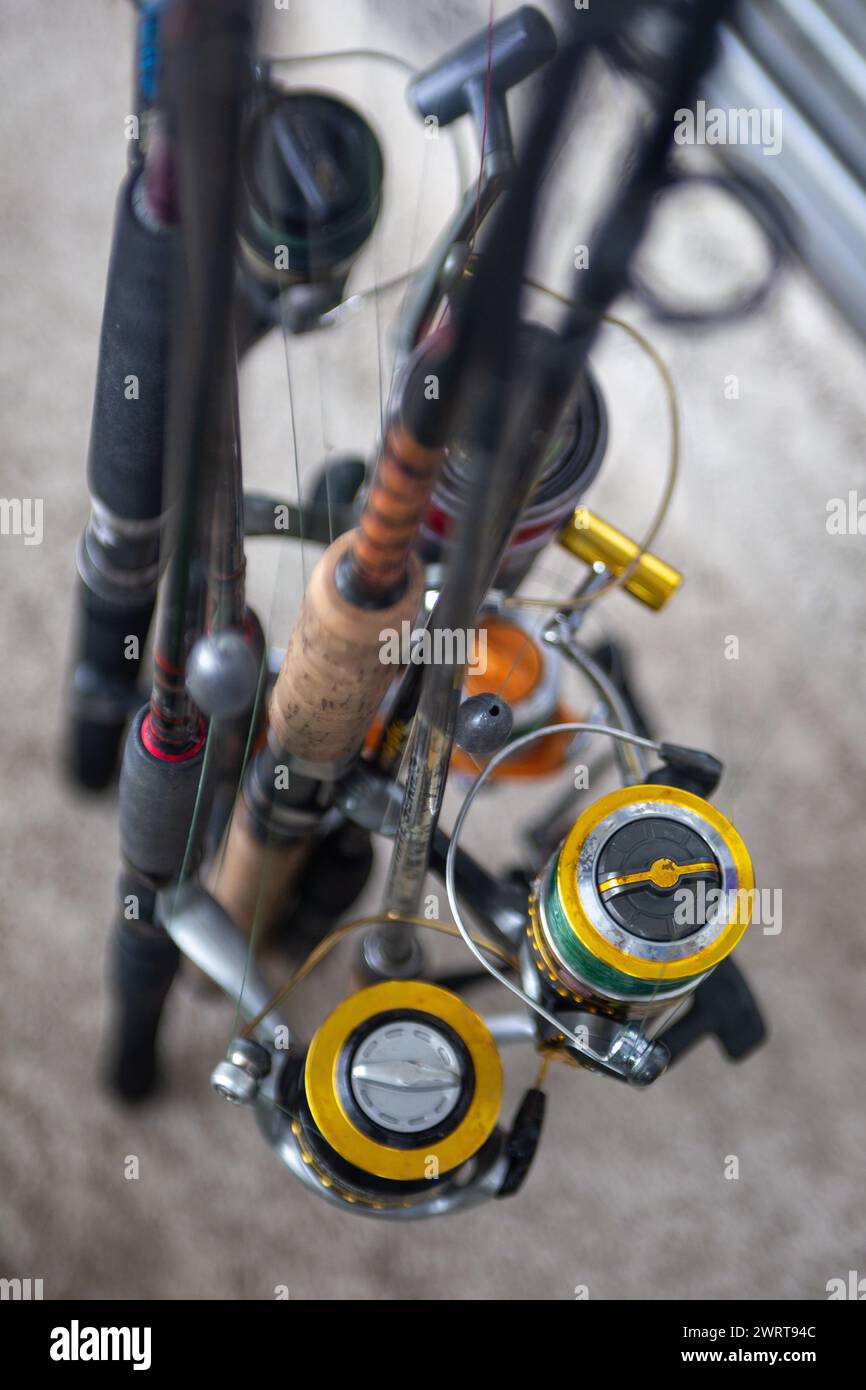 Group of Fishing Rods ready to go fish Stock Photo