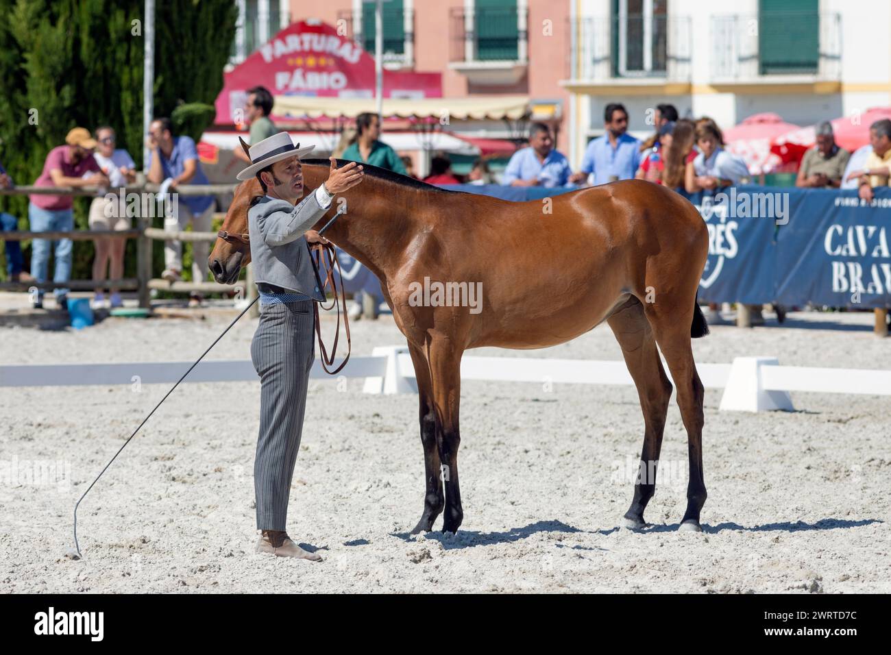 Portugal, Alentejo Region, Golega, Man in traditional costume presenting a Young Lusitano Horse at the 'Mares and Foals' Horse Fair Stock Photo