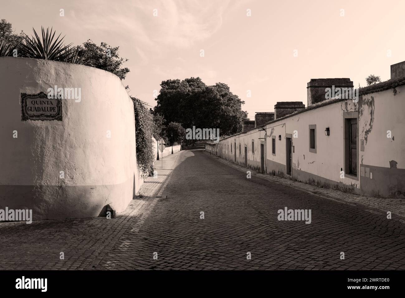 Portugal, Alentejo Region, Golega, Terrace of Artisanal Houses associated with the Quinta Guadalupe on Rua José Farinha Relvas Stock Photo