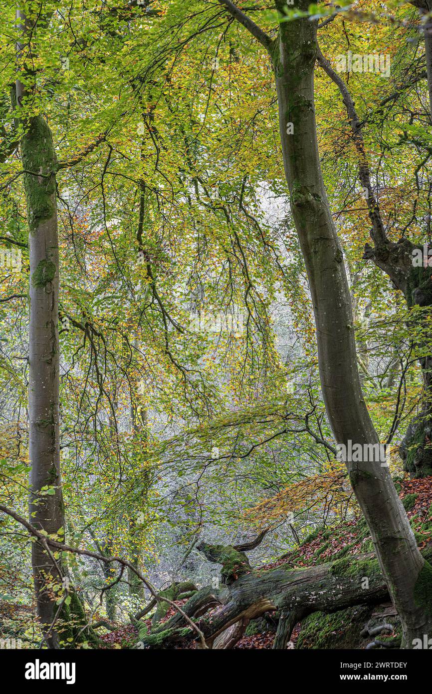 Llangynidr hi-res stock photography and images - Alamy