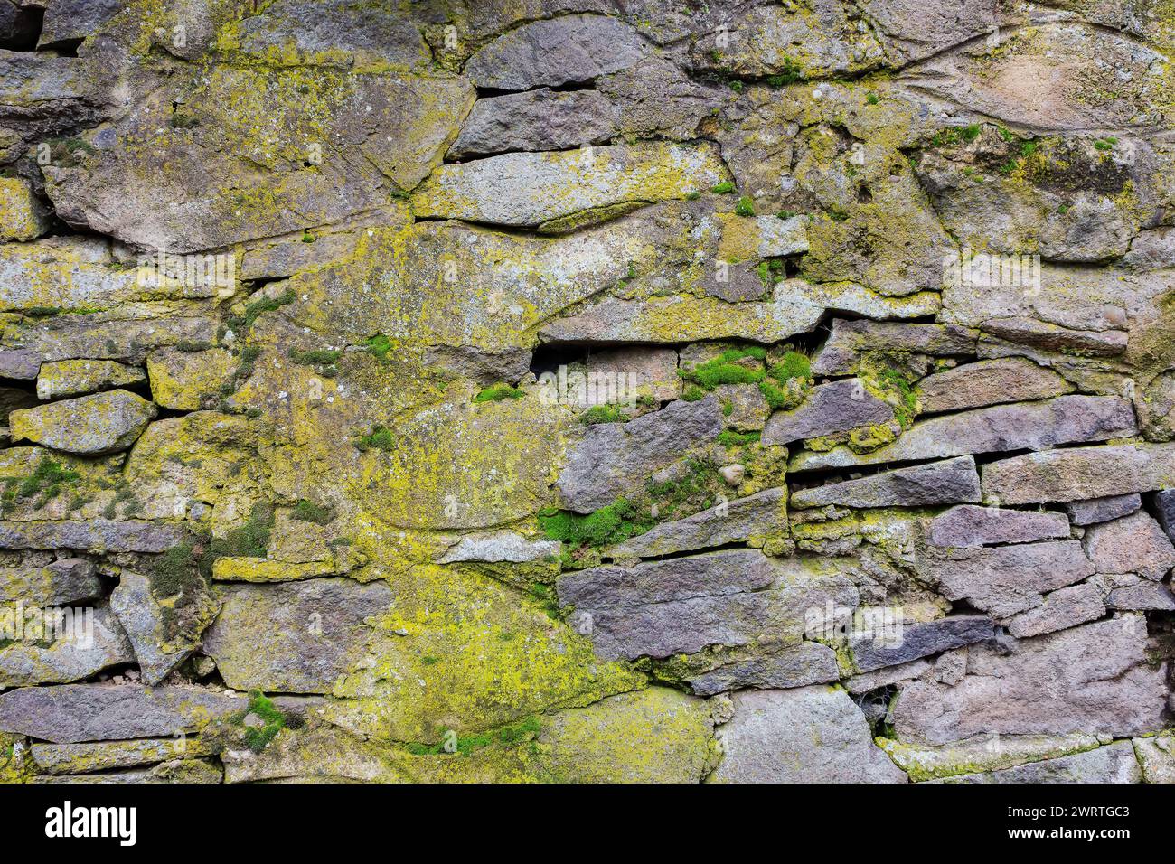 ancient stone wall. moss and plants on the grunge surface Stock Photo