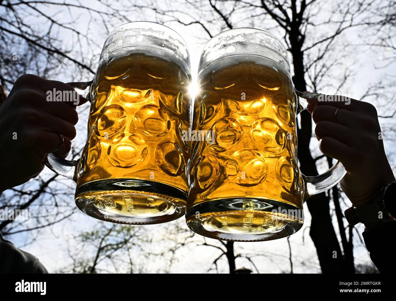 Munich, Germany. 14th Mar, 2024. A young couple clink glasses with two full beer mugs in the English Garden by the Chinese Tower. Spring-like temperatures invite you to linger in the fresh air. Credit: Peter Kneffel/dpa/Alamy Live News Stock Photo
