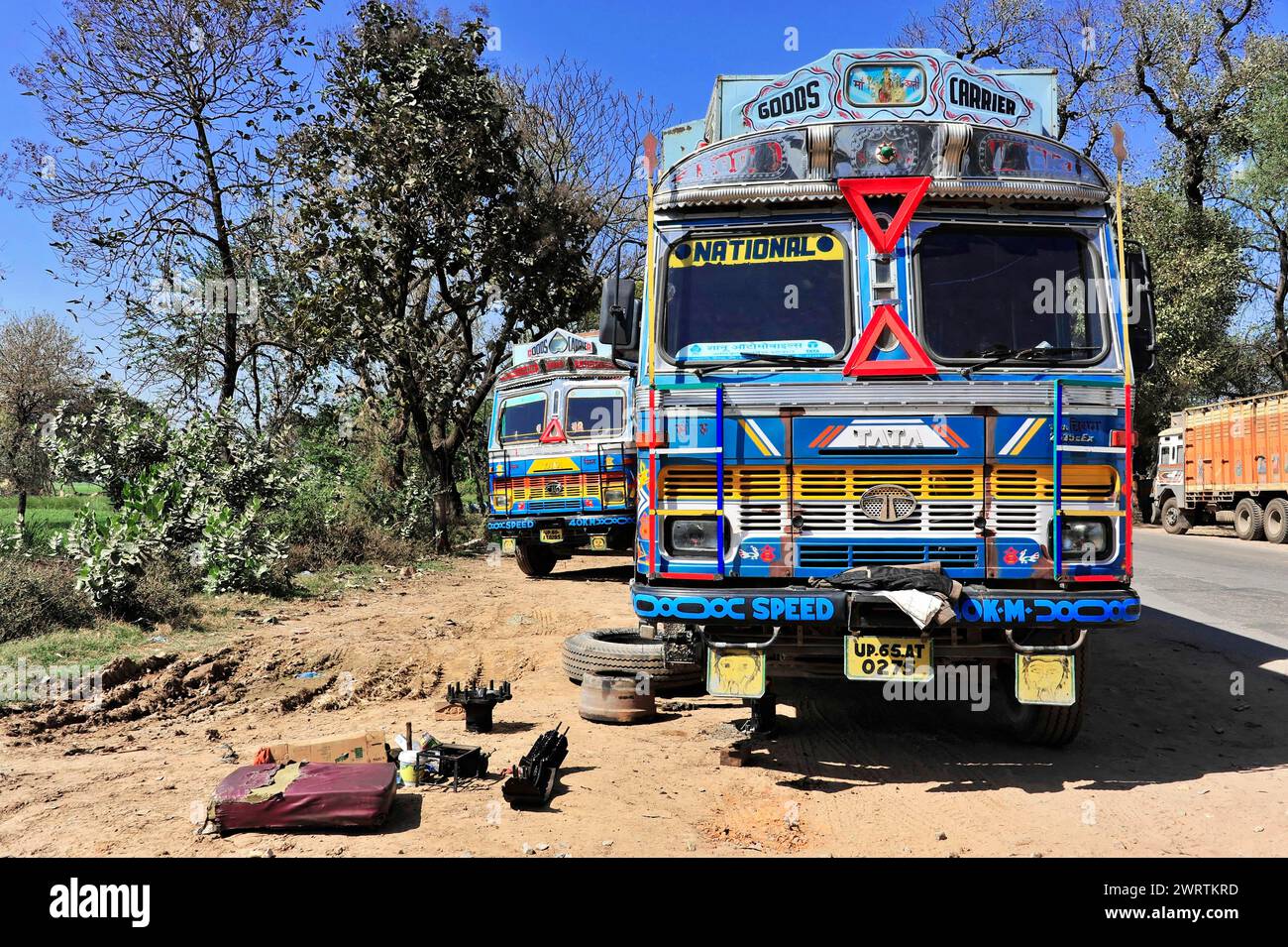 Two colourfully painted trucks standing on the roadside under a clear sky, India-Nepal border, Gorakhpur, Bhairahawa, India, Nepal Stock Photo
