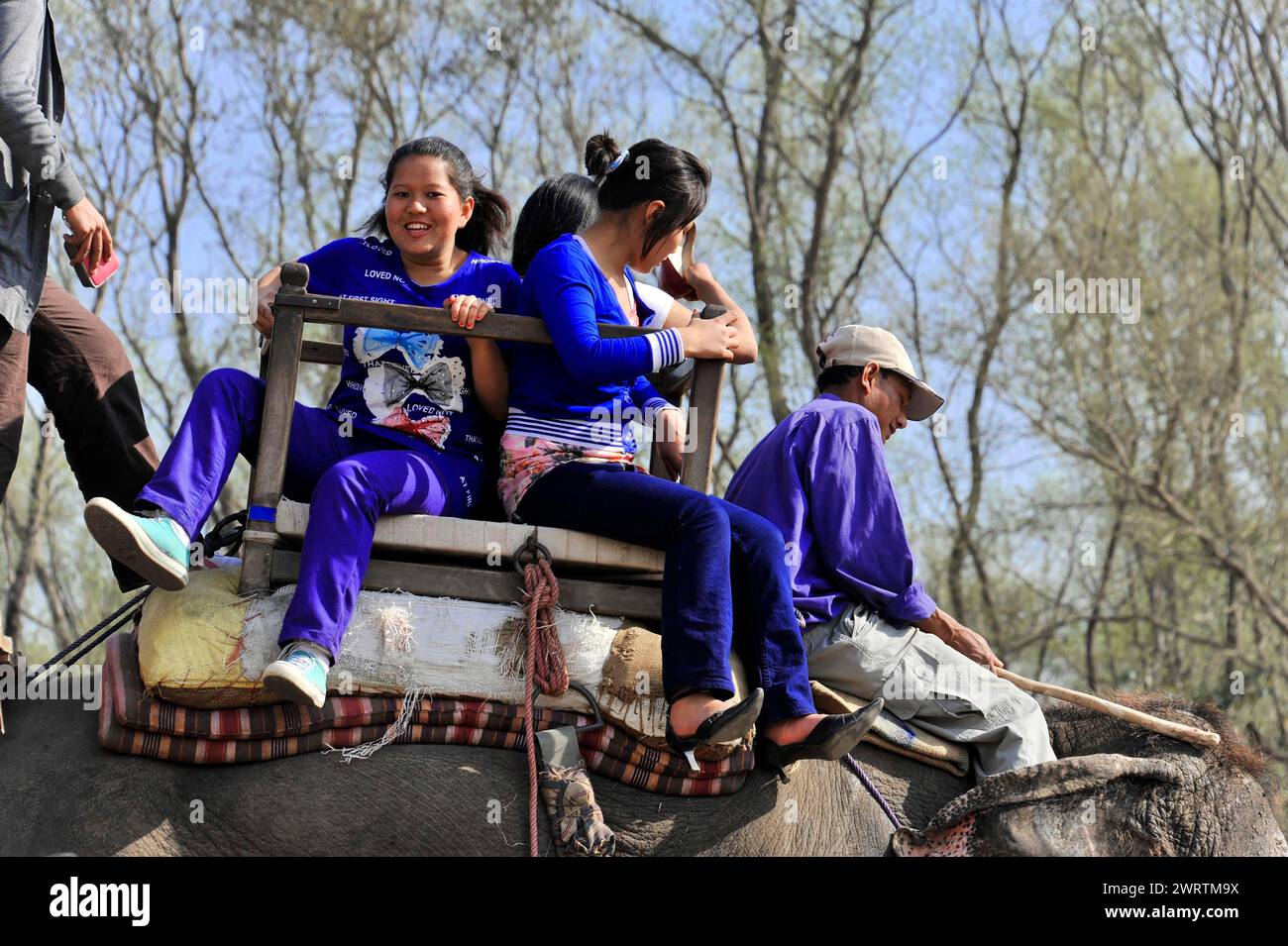 A group of tourists enjoying an elephant ride in the forest, Chitwan ...