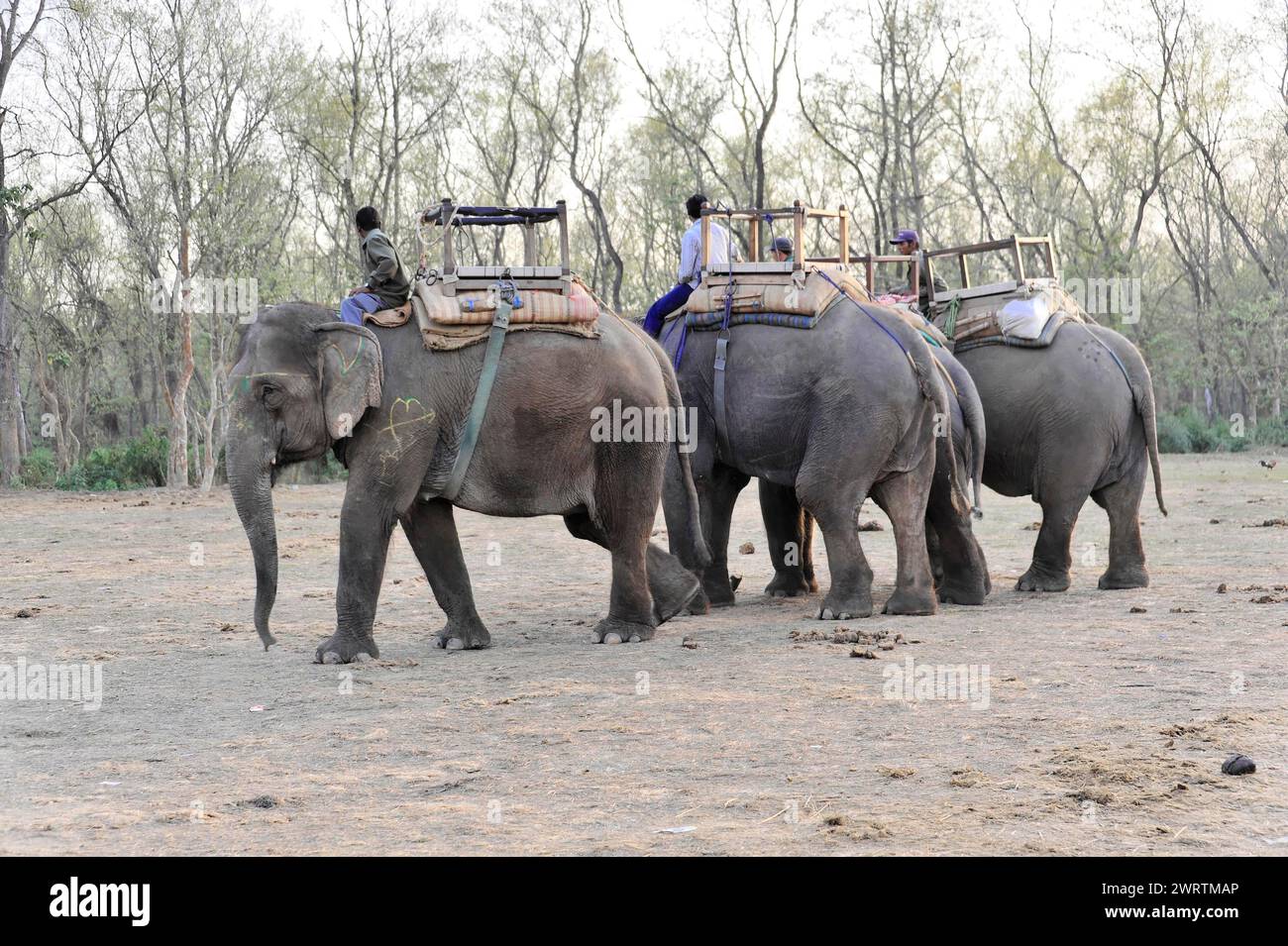 Group horse riders travelling hi-res stock photography and images - Alamy