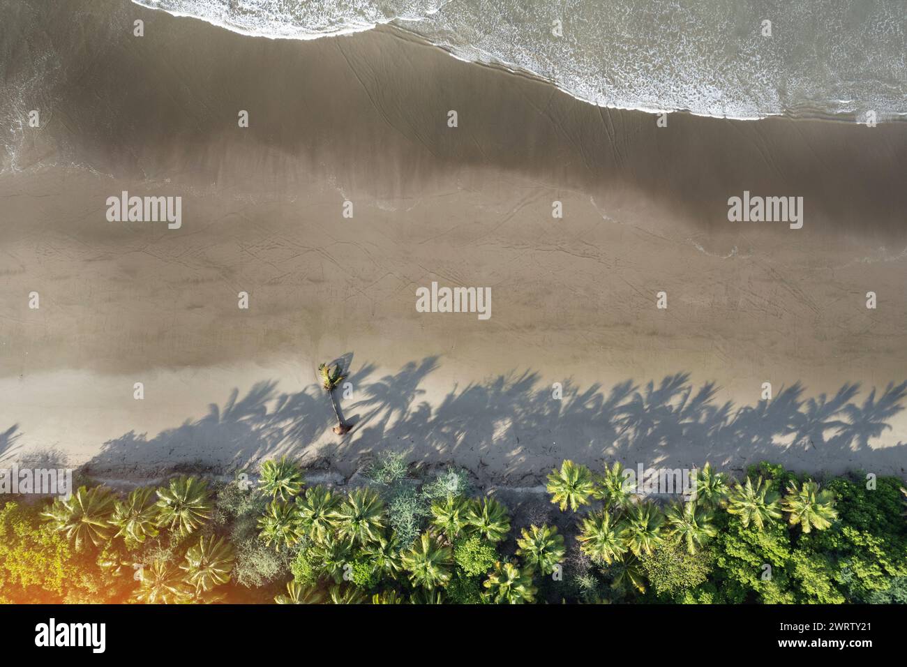 Empty tropical sand beach aerial above drone view on sunny light Stock Photo