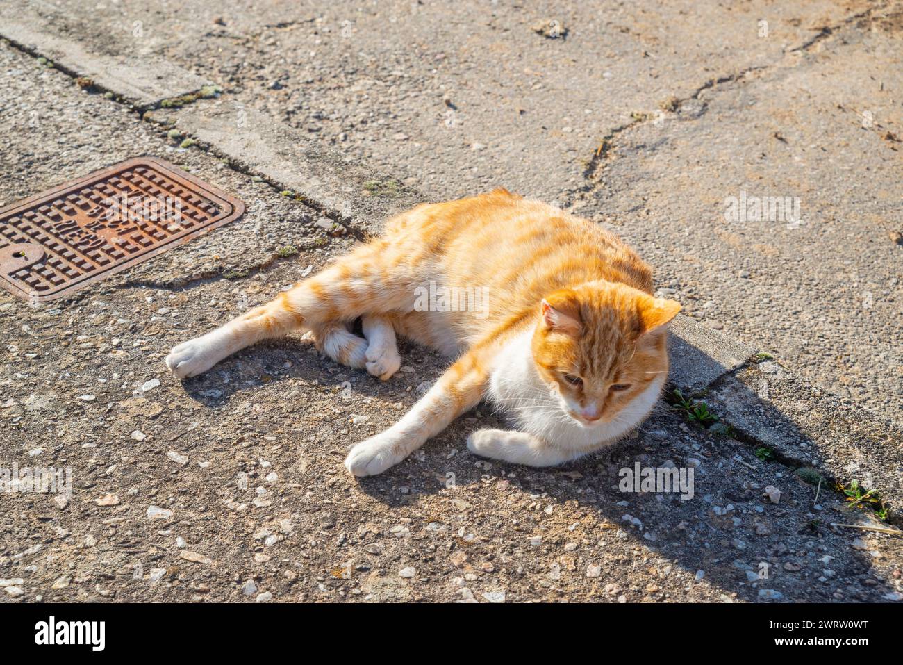 Tumbado sunbathing hi-res stock photography and images - Alamy