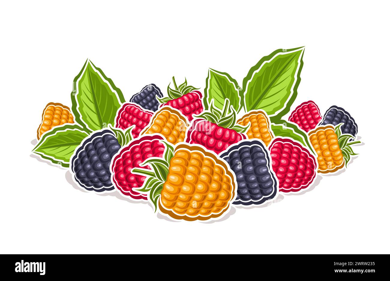 Vector logo for Wild Berry, decorative horizontal poster with outline illustration of colorful raspberry composition with green sprig, cartoon design Stock Vector