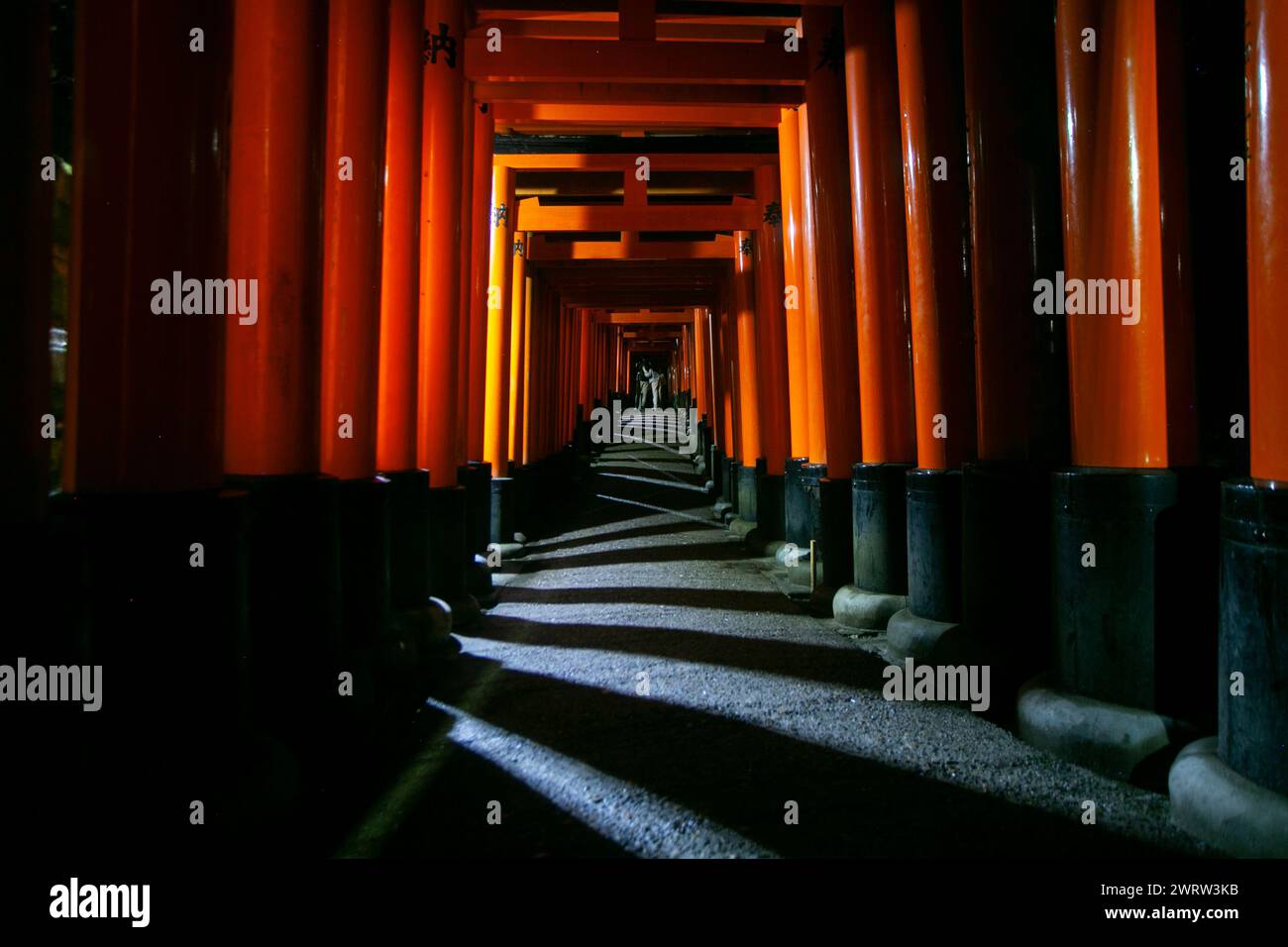 Night view of the Fushimi Inari-Taisha, the main Shinto shrine ...