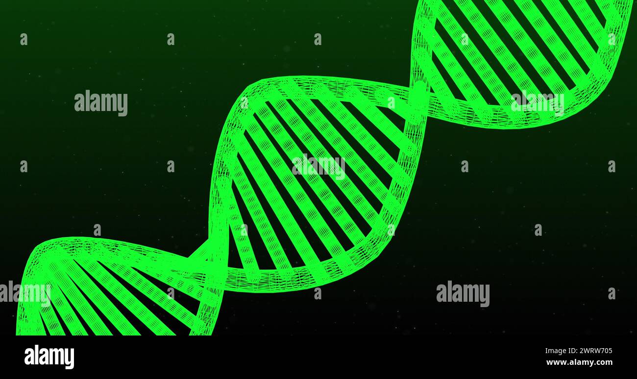 A green DNA double helix structure stands out on a dark background Stock Photo