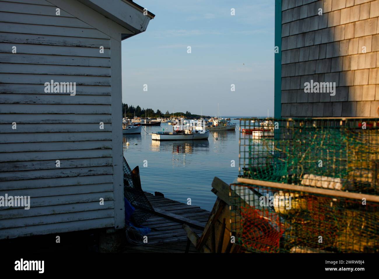 Live lobsters for sale on Vinalhaven, Maine, USA Stock Photo Alamy