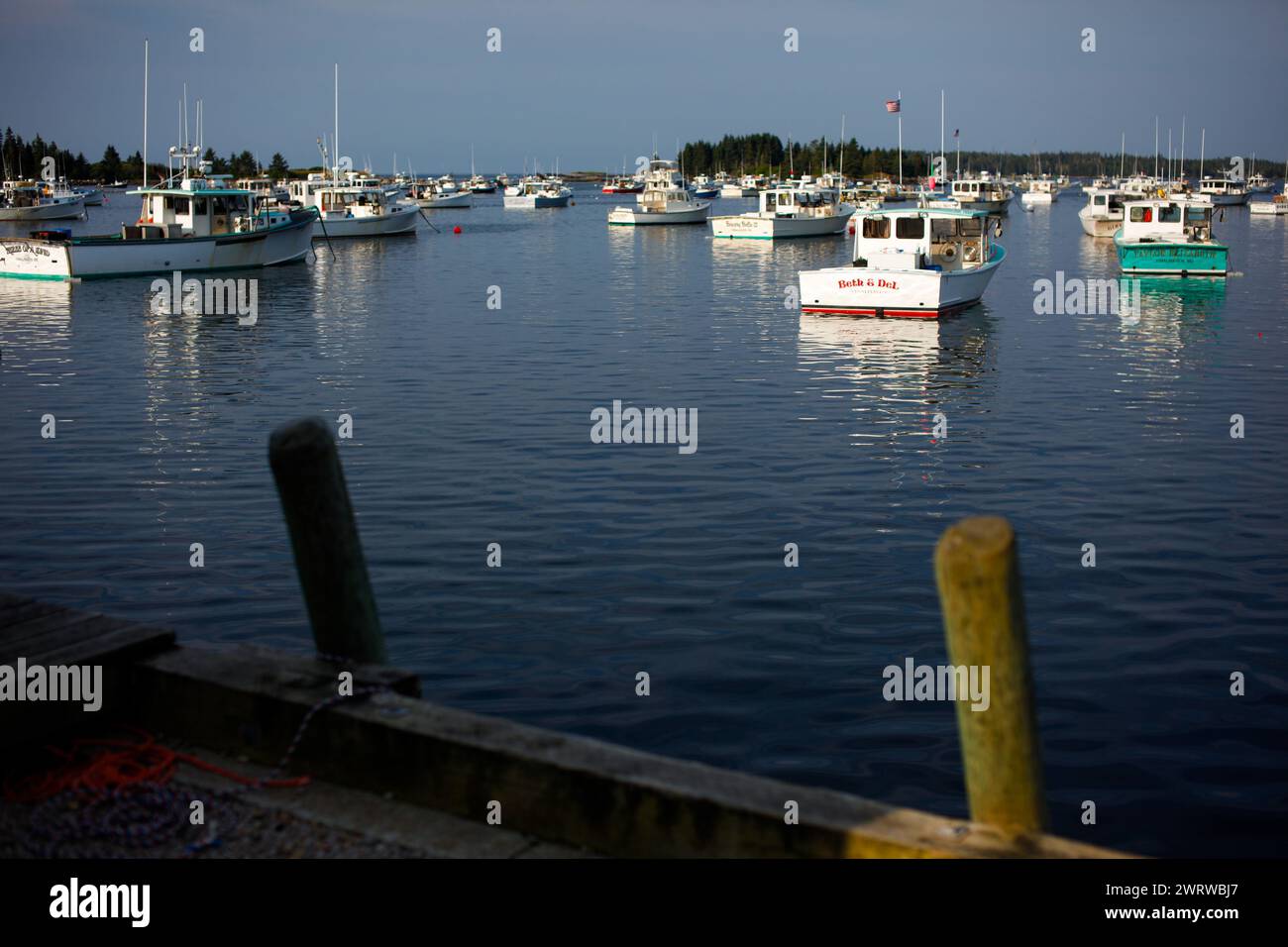 Live lobsters for sale on Vinalhaven, Maine, USA Stock Photo Alamy