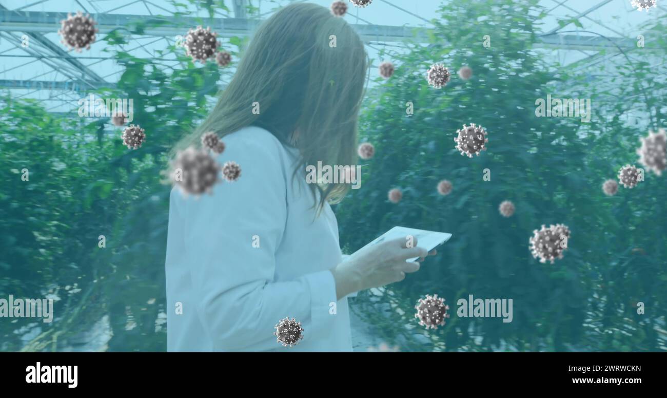 Lab worker examines plants amidst coronavirus imagery, highlighting pandemic research. Stock Photo