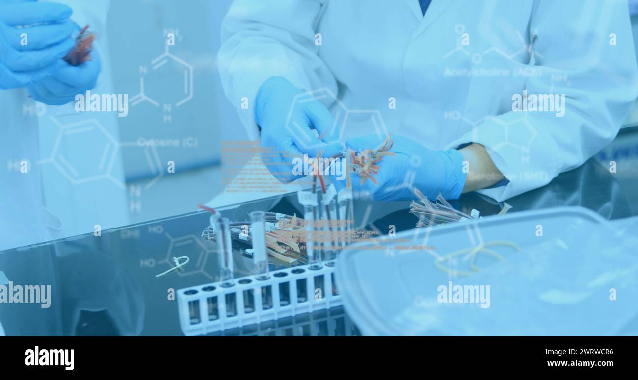 Lab workers examine samples amid COVID-19, depicted with flowing data imagery. Stock Photo