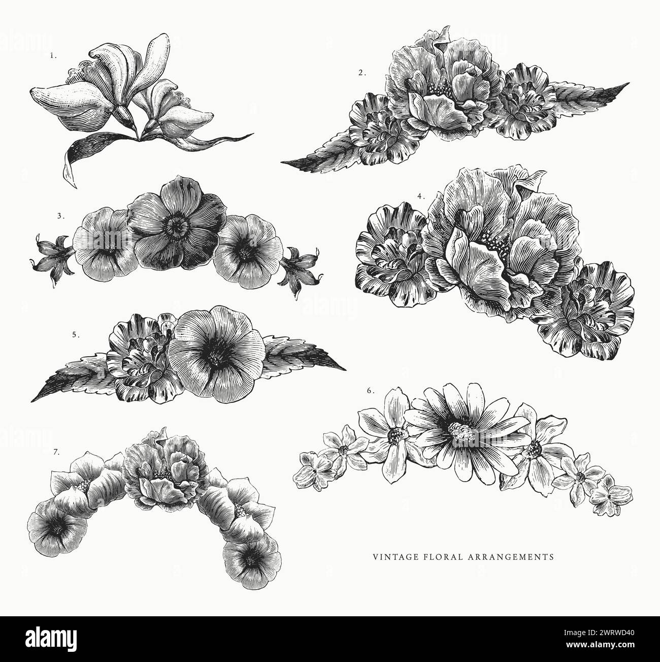 Vintage flower drawings hi-res stock photography and images - Alamy