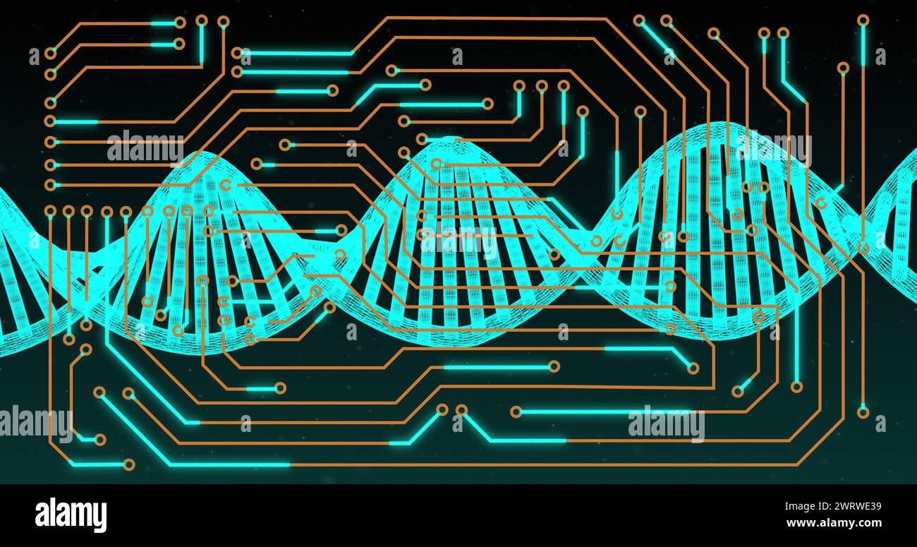 Image of dna strand spinning over computer circuit board Stock Photo