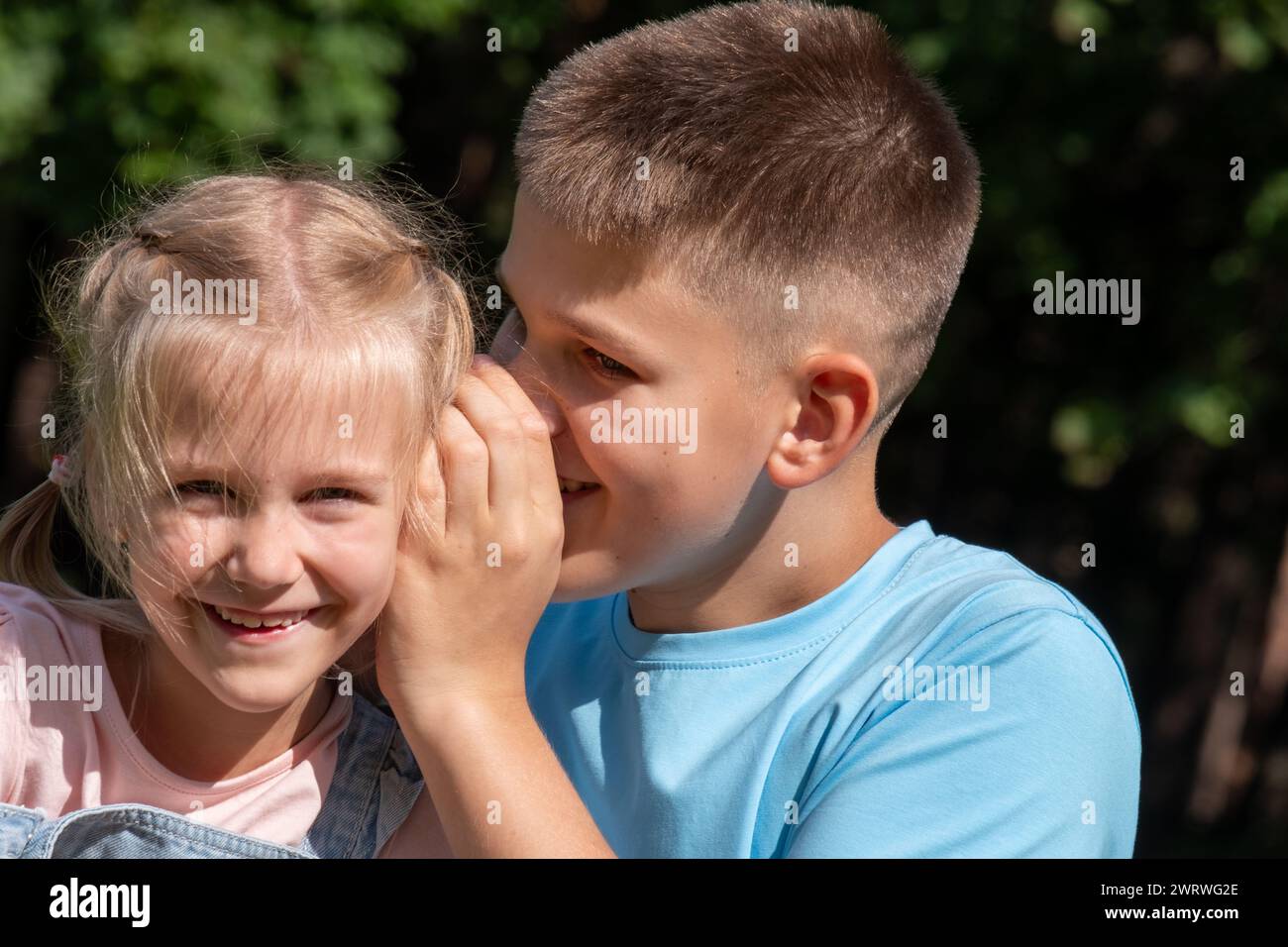 Sibling secrets unfold in a grassy glade, as a boy leans in to share a whisper with his grinning sister, used for National siblings day, happiness in Stock Photo