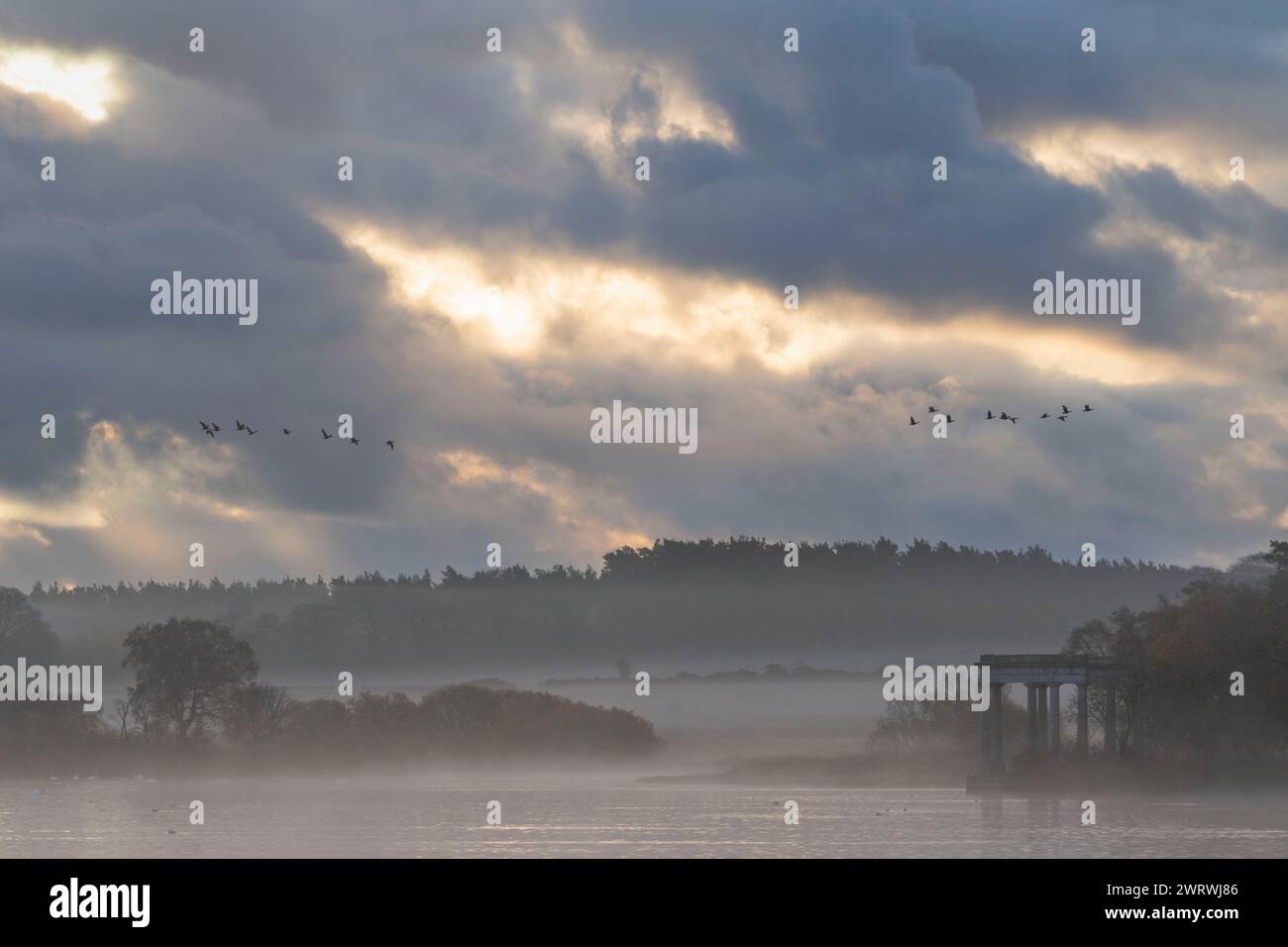 The Loch of Skene at Daybreak on a Misty Autumn Morning, Looking Towards the Temple (Folly) with Small Flocks of Pink-Footed Geese in Flight Stock Photo