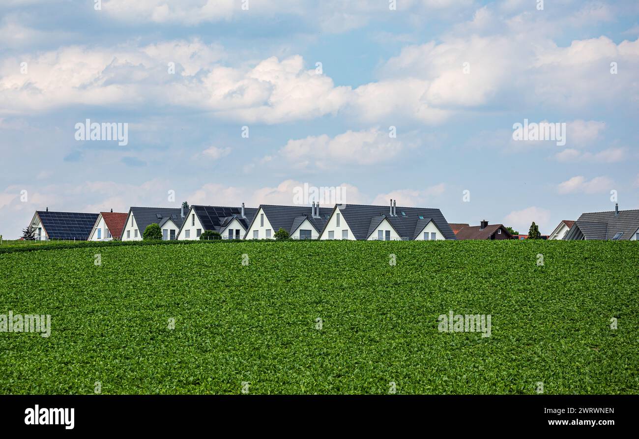 Die Häuser von Höri im Zürcher Unterland vom Nerracherried ausgesehen. (Höri, Schweiz, 03.06.2023) Stock Photo