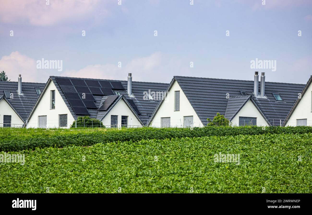 Die Häuser von Höri im Zürcher Unterland vom Nerracherried ausgesehen. (Höri, Schweiz, 03.06.2023) Stock Photo