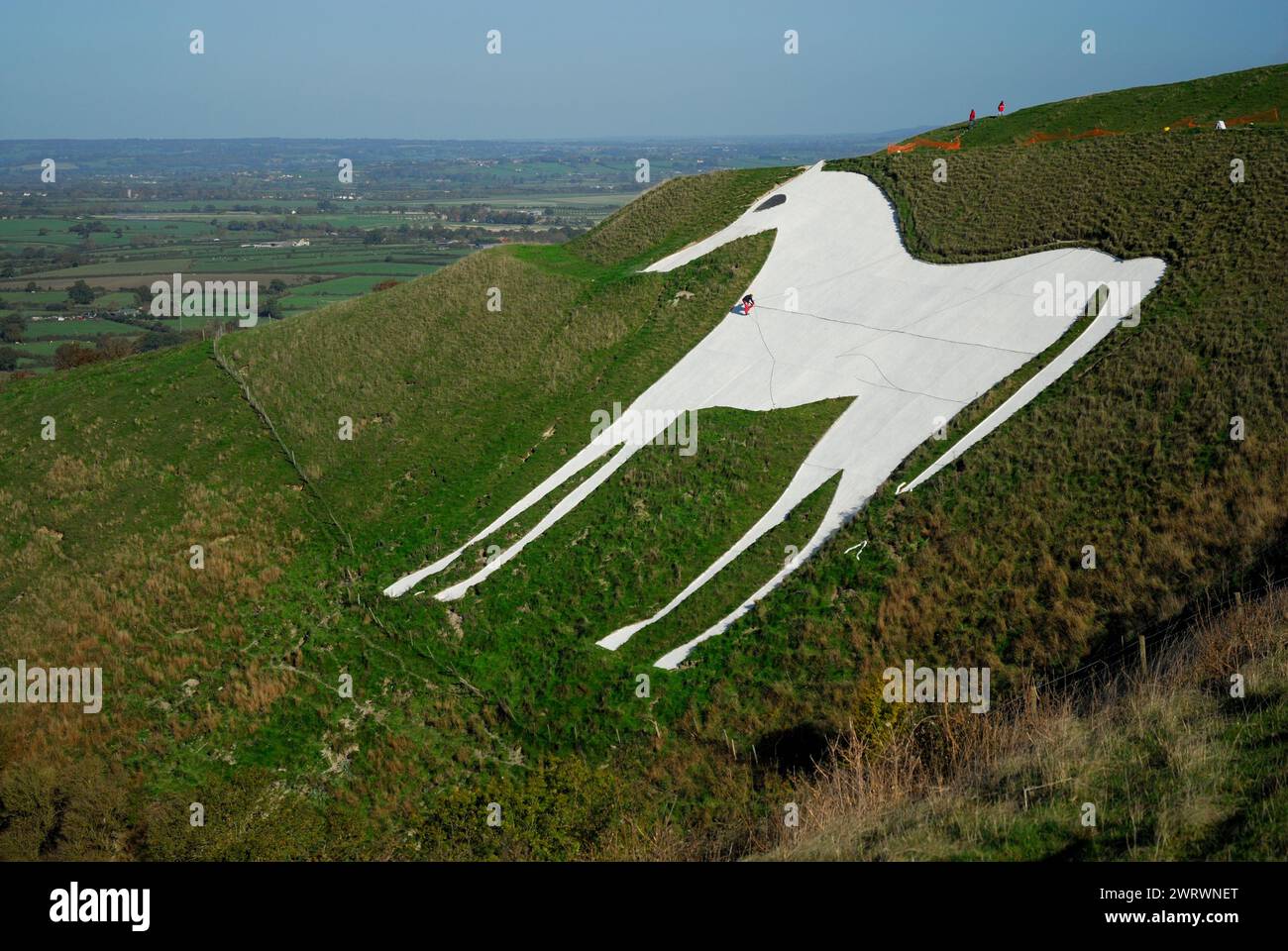 Painting the Westbury white horse in 2006 Stock Photo Alamy
