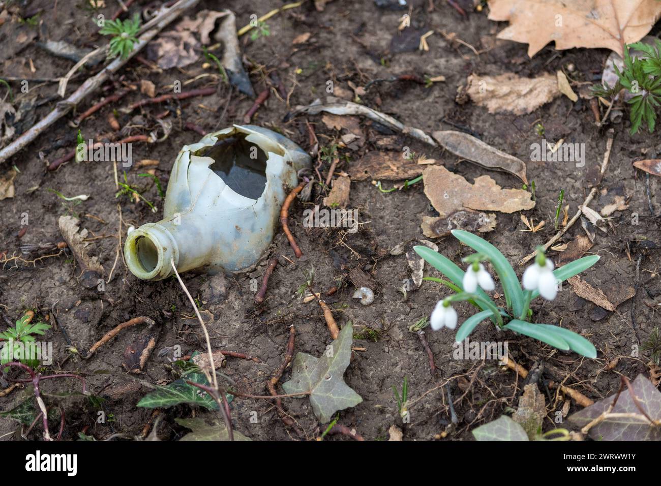 Top view of a portion of a plastic bottle hidden underground and abandoned in a forest. Polluting waste that is ruining our planet. Plastic materials. Stock Photo