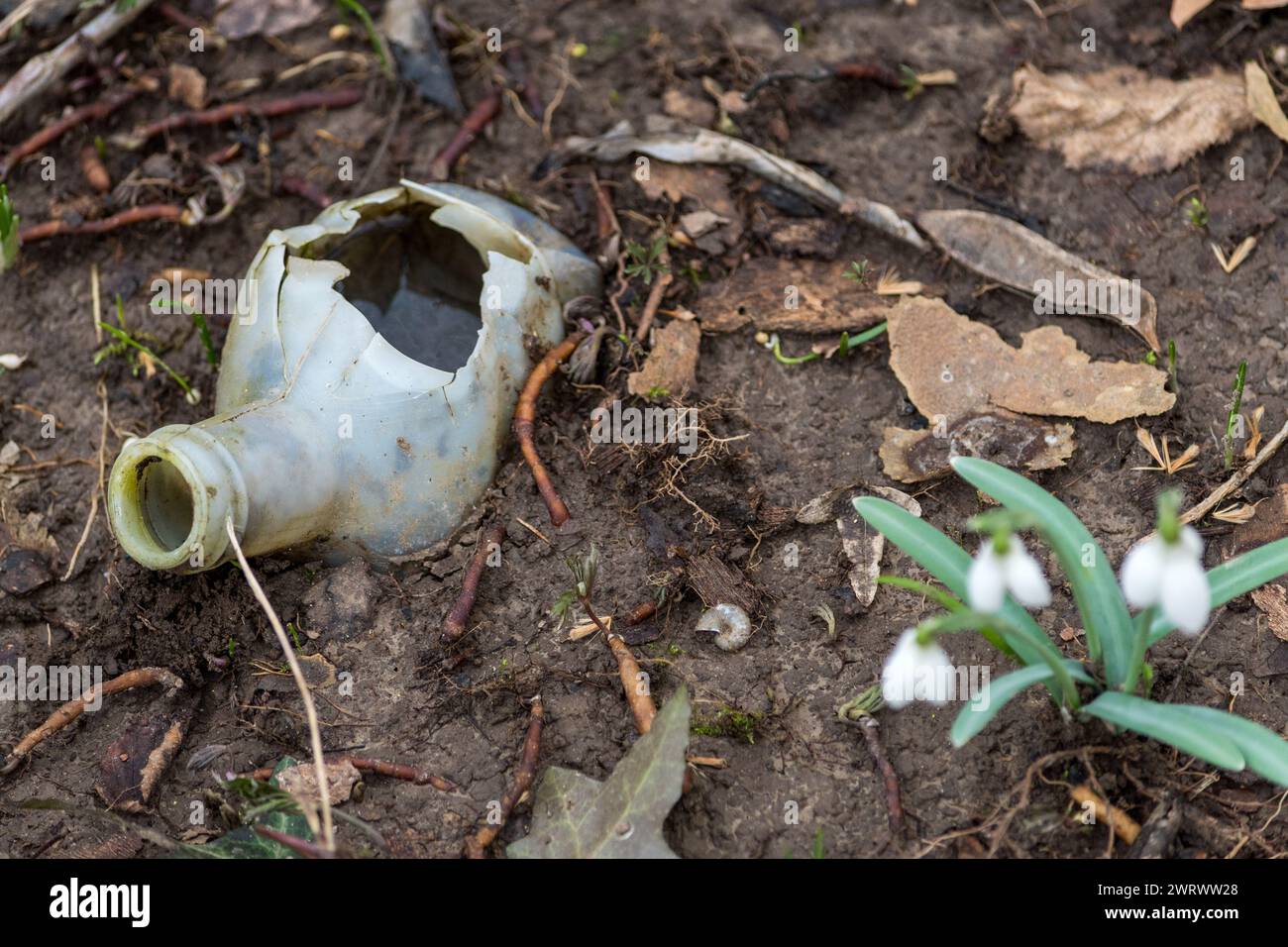 Top view of a portion of a plastic bottle hidden underground and abandoned in a forest. Polluting waste that is ruining our planet. Plastic materials Stock Photo