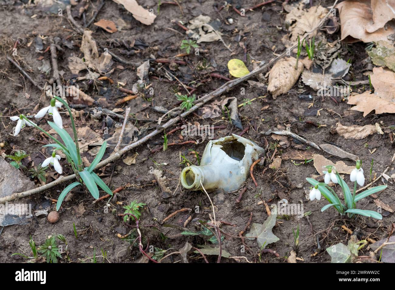 Top view of a portion of a plastic bottle hidden underground and abandoned in a forest. Polluting waste that is ruining our planet. Plastic materials. Stock Photo