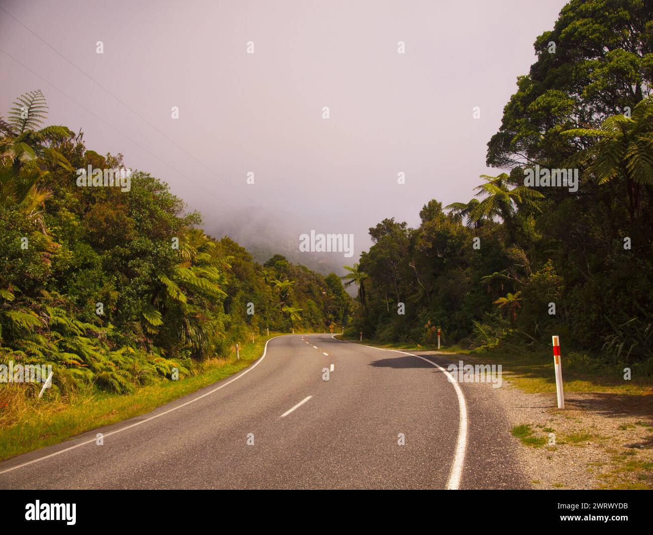 Road to Punakaiki - New Zealand Stock Photo