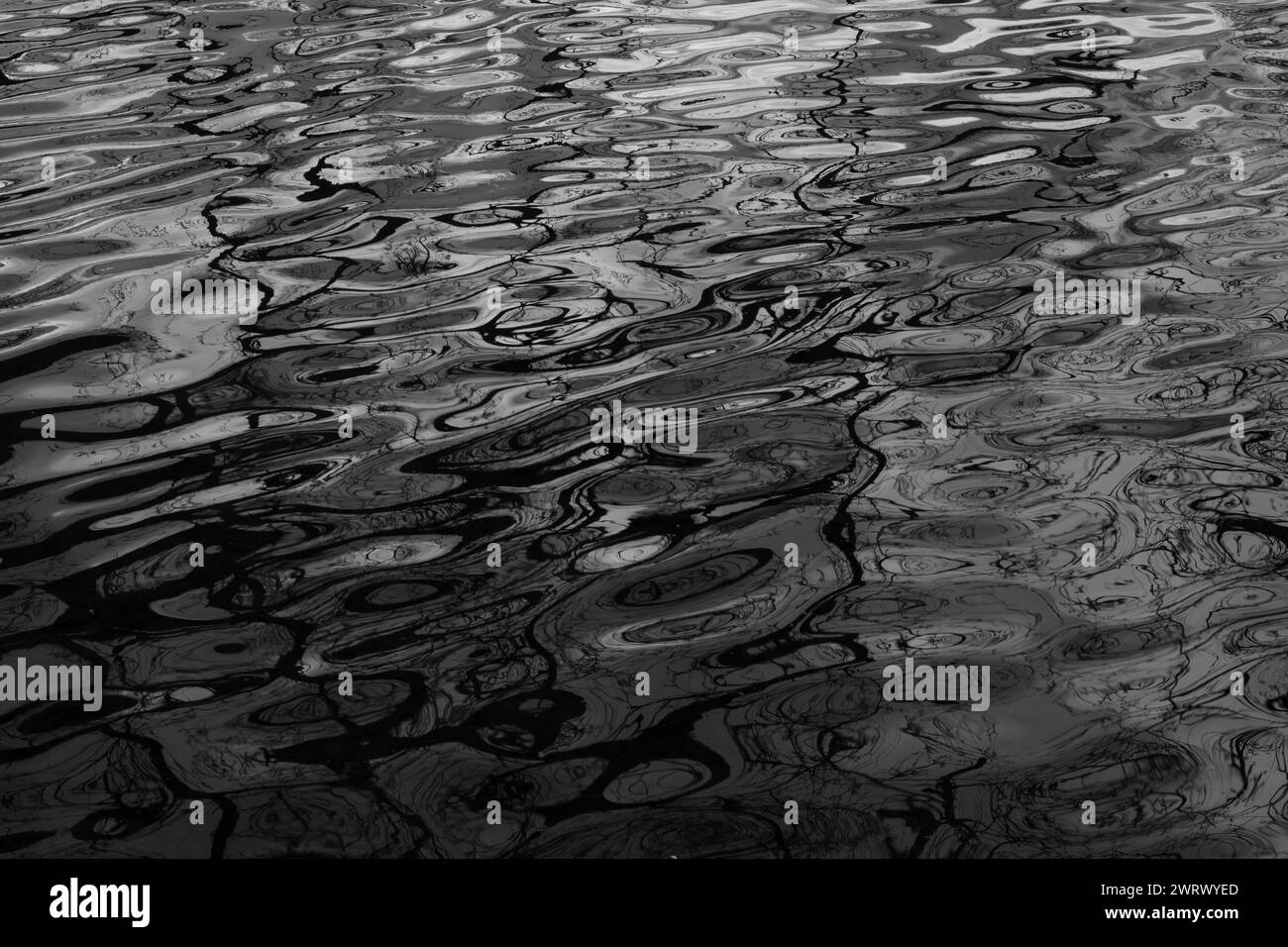 Black and white water with reflections. Ripple marks Stock Photo