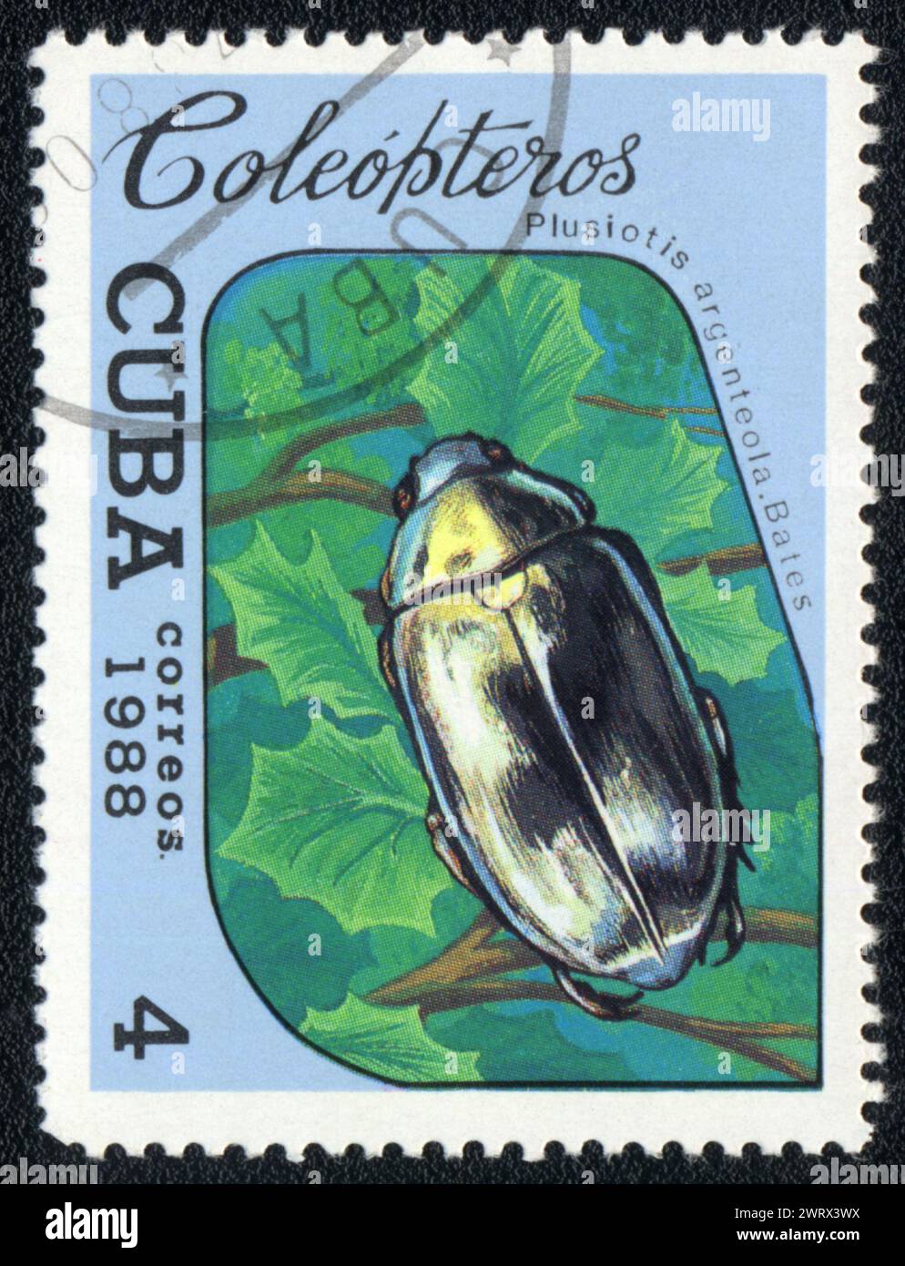 Postage stamp printed in CUBA shows image of a Chrysina (Plusiotis argenteola. Dales) beetle, from series - entomofauna, 1988 Stock Photo