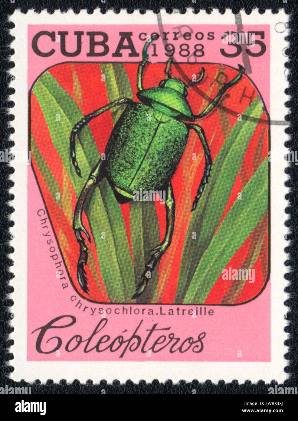 Postage stamp printed in CUBA shows image of a  scarab Shining leaf chafer beetle (Chrysophora chrysochlora. Latreille) beetle, from series - entomofa Stock Photo