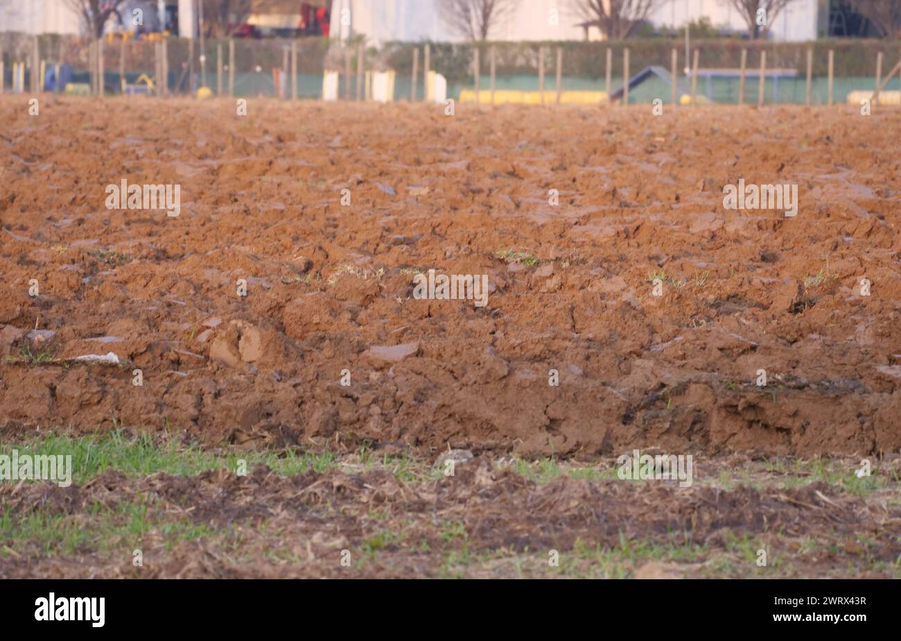 Dalmine, Italy. 14th Mar, 2024. With the end of winter and the approach of spring, tractors at work plowing fields and sowing the new 2024 harvest Credit: Independent Photo Agency/Alamy Live News Stock Photo