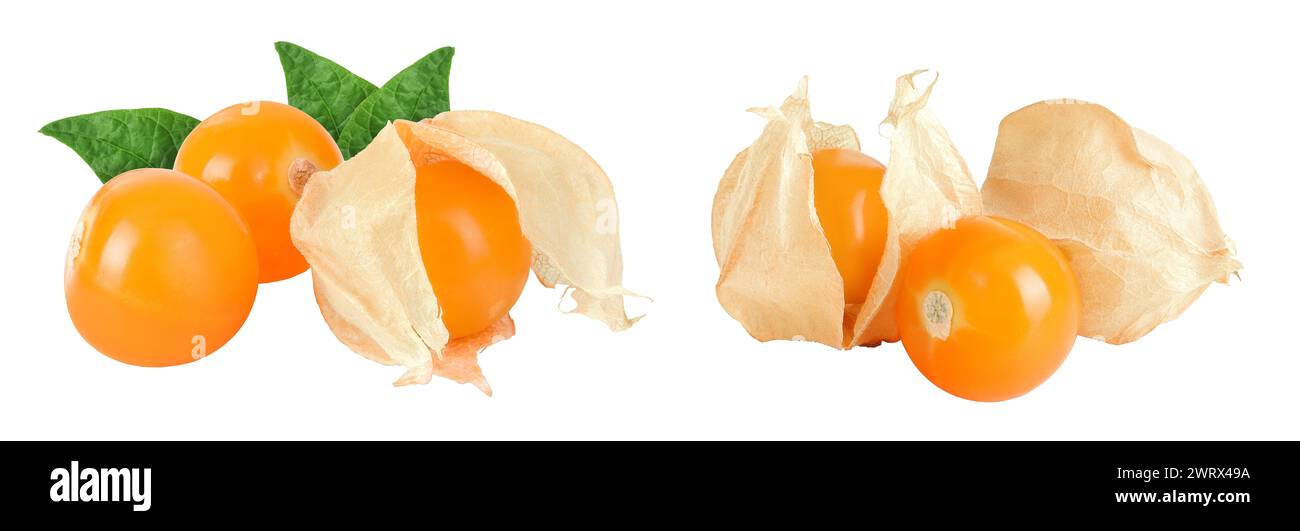 Cape gooseberry or physalis isolated on white background wit full depth ...