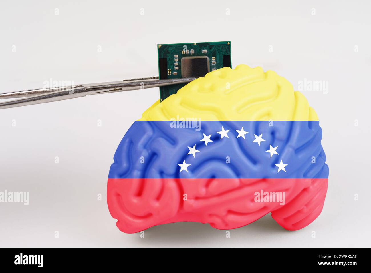 On a white background, a model of the brain with a picture of a flag - Venezuela, a microcircuit, a processor, is implanted into it. Close-up Stock Photo