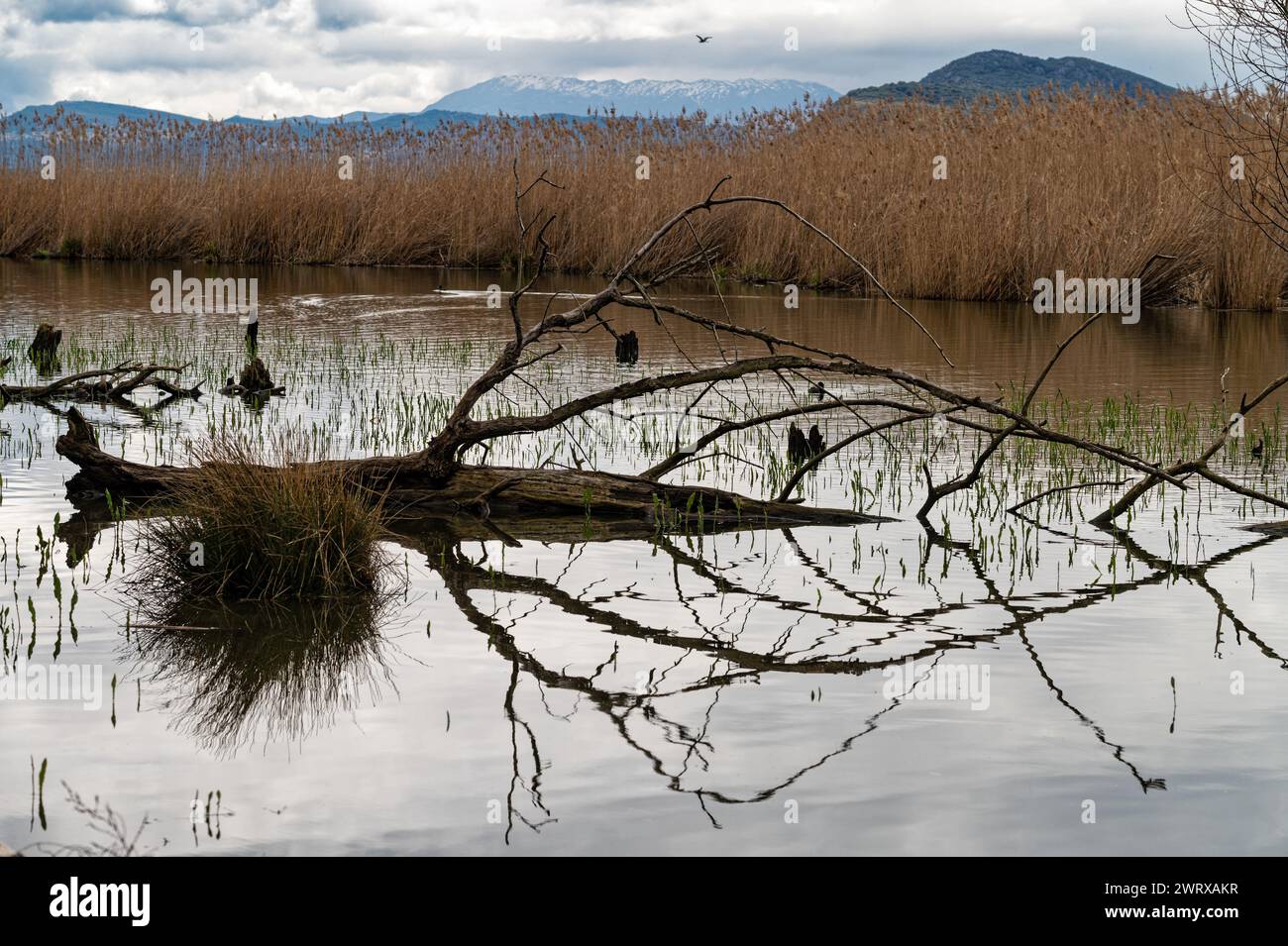 View of the Pamvotis lake in Ioannina, Greece Stock Photo