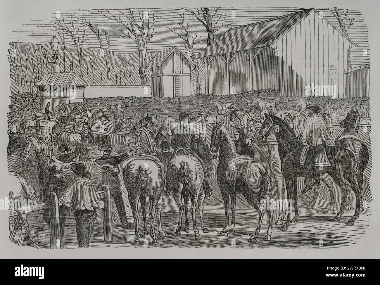 Franco-Prussian War (1870-1871). Siege of Paris (19 September 1870 to 28 January 1871). Horse market during the siege of the city by the Prussians. Engraving. "Historia de la Guerra de Francia y Prusia" (History of the War between France and Prussia). Volume II. Published in Barcelona, 1871. Stock Photo