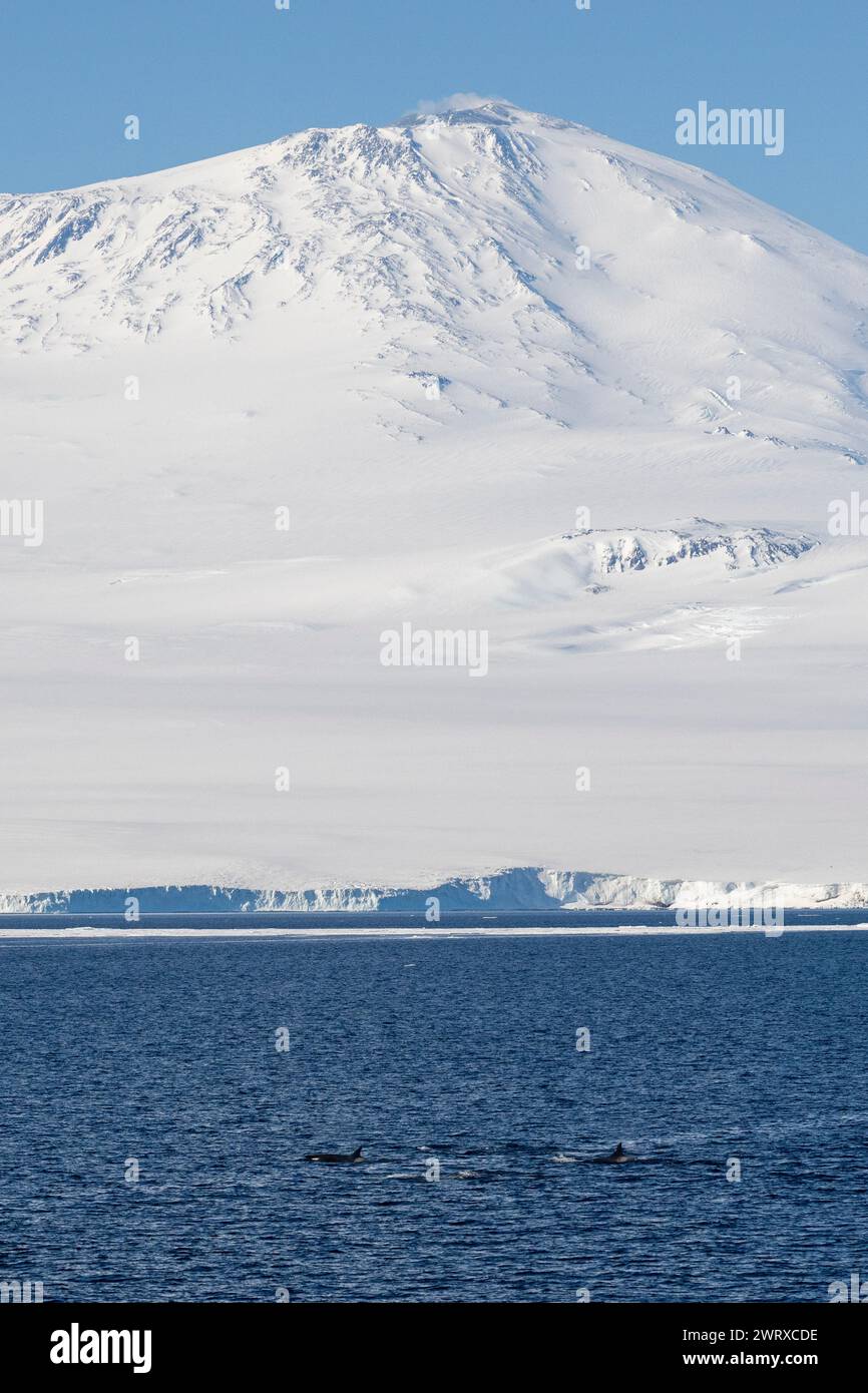 Antarctica, Ross Sea, Ross Island, 77° 40 02 S 166° 00 77E. Ross Sea ...